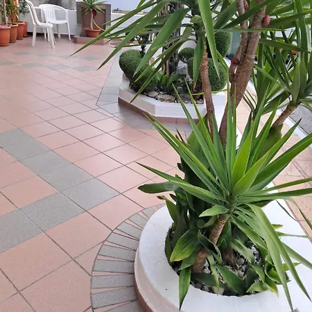 Alexander Ξενοδοχείο με διαμερίσματα Παραλία