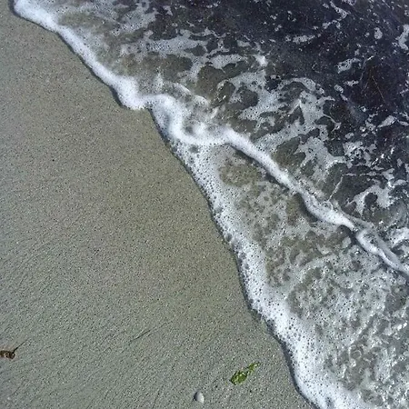 Alexander Aparthotel 3*