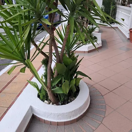 Alexander 3* Paralía