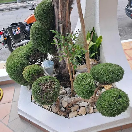 Alexander Aparthotel 3*