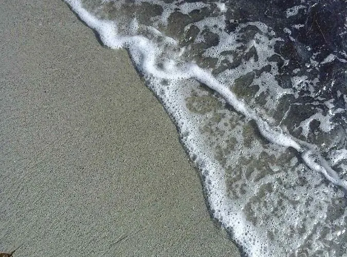 Alexander Apartahotel 3*