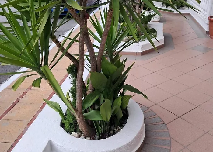 Alexander 3* Paralía